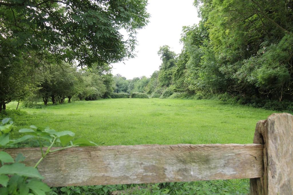 View Of The Fields To The Rear