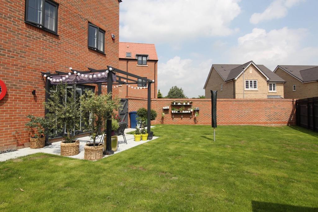 Patio Area and Pergola