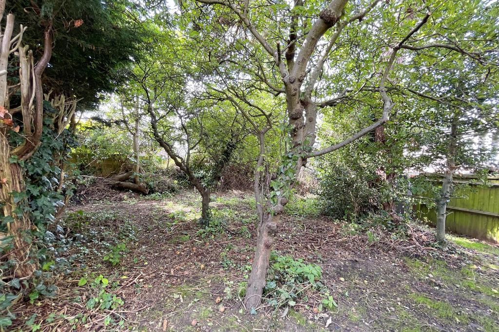 Garden Orchard