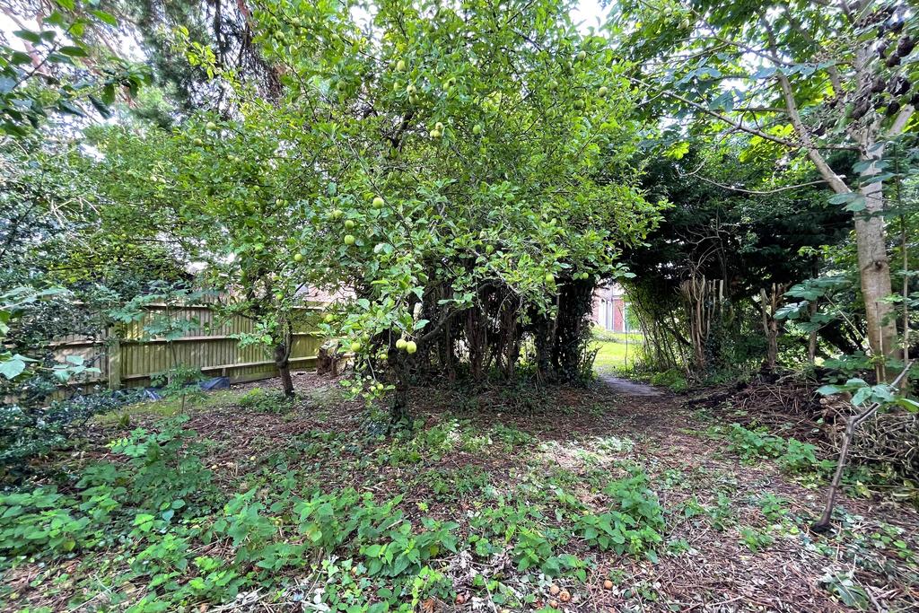 Garden Orchard