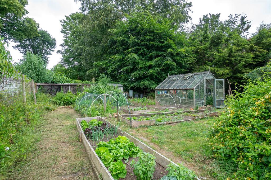 Vegetable Garden