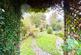 Garden 2.JPG