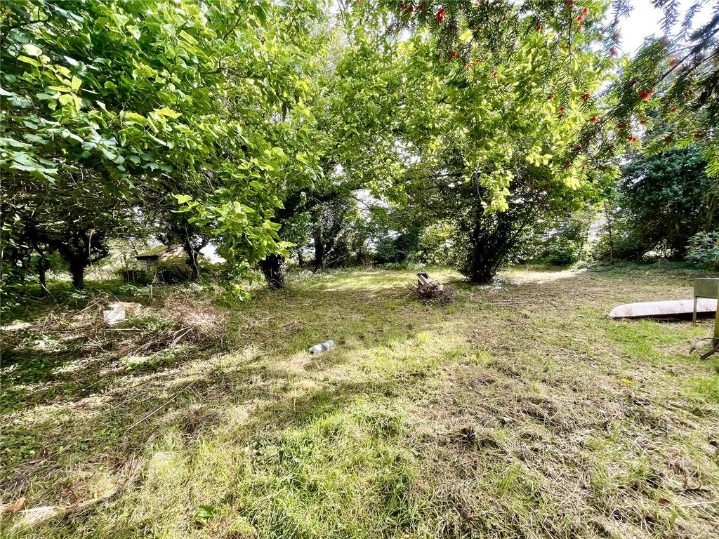 Pilley Street, Pilley, Lymington, Hampshire, SO41 Equestrian property
