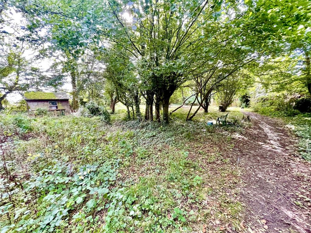 Pilley Street, Pilley, Lymington, Hampshire, SO41 Equestrian property