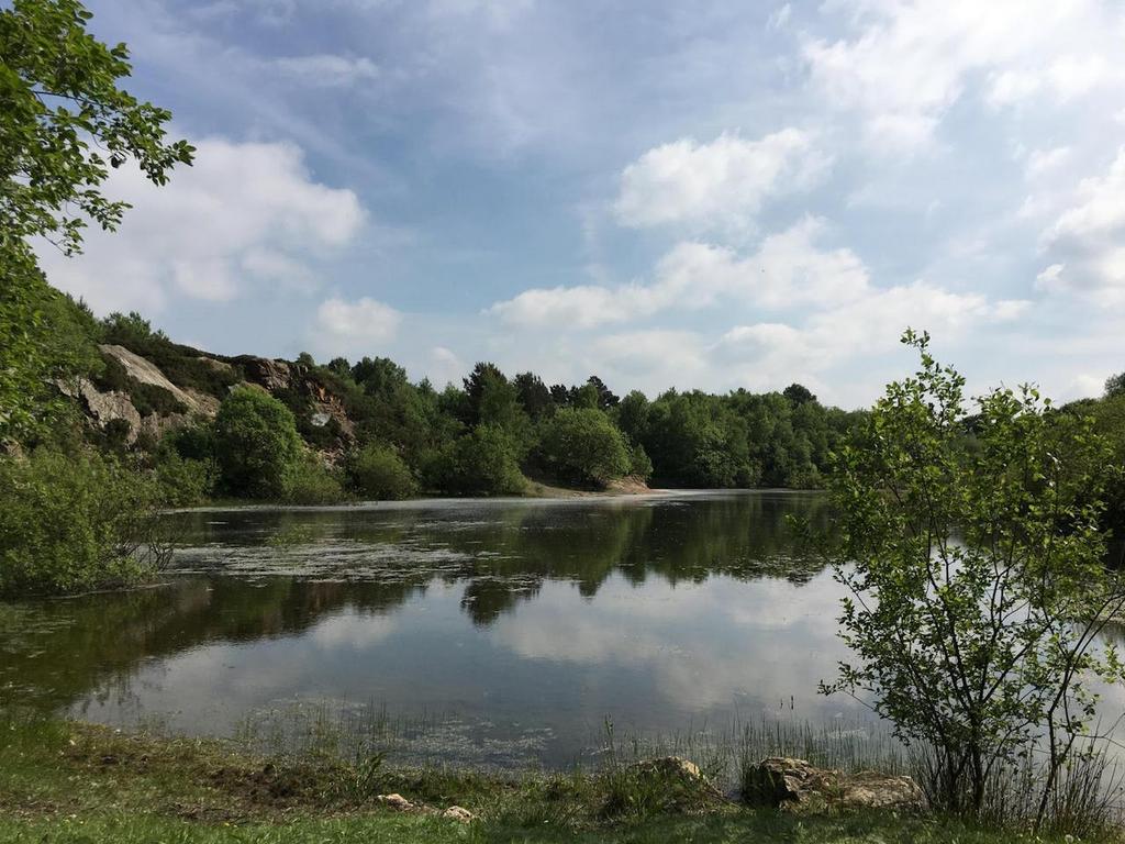 Seren Country Estate, Ruthin Road, Wrecsam, LL11 5BJ Land for sale £