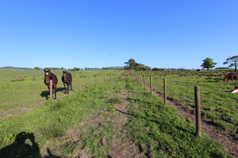 Land with horses