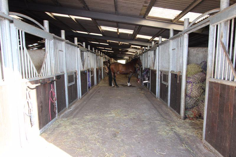 Stables