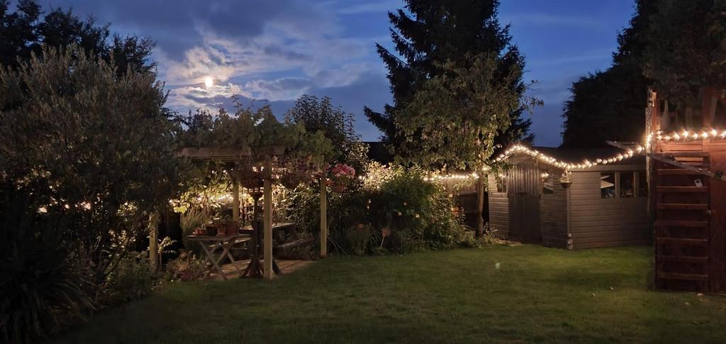 Garden At Dusk