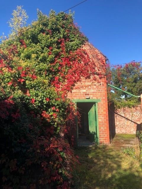 Photo 38.jpg