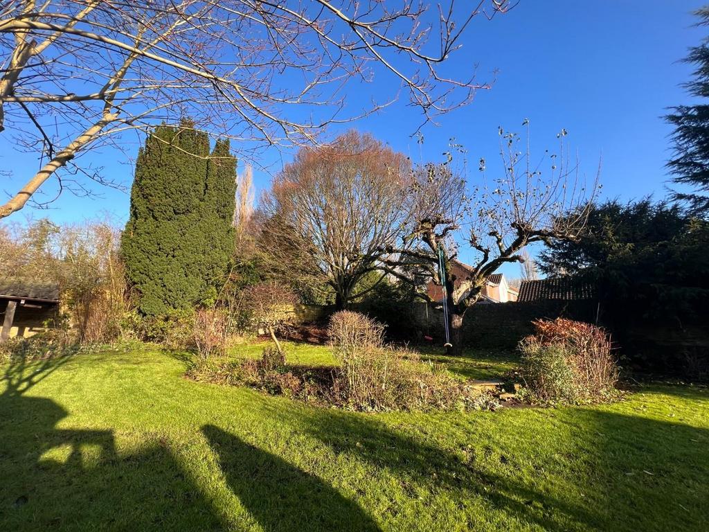 Rear Garden (3).jpg