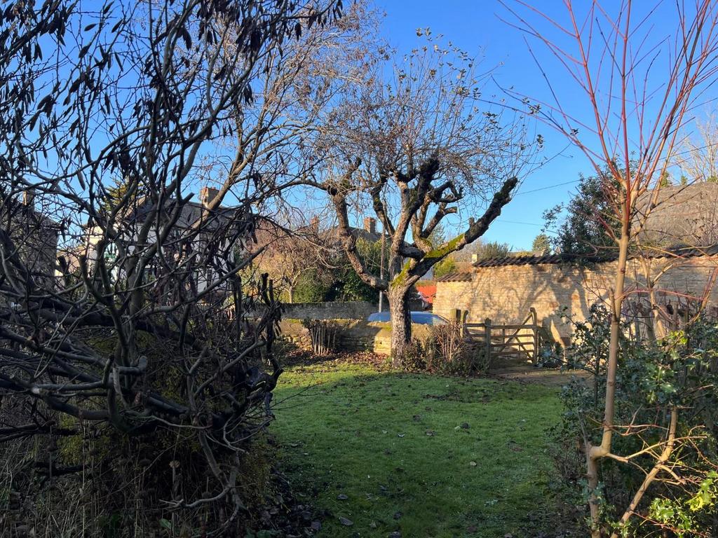 Front Garden.jpg