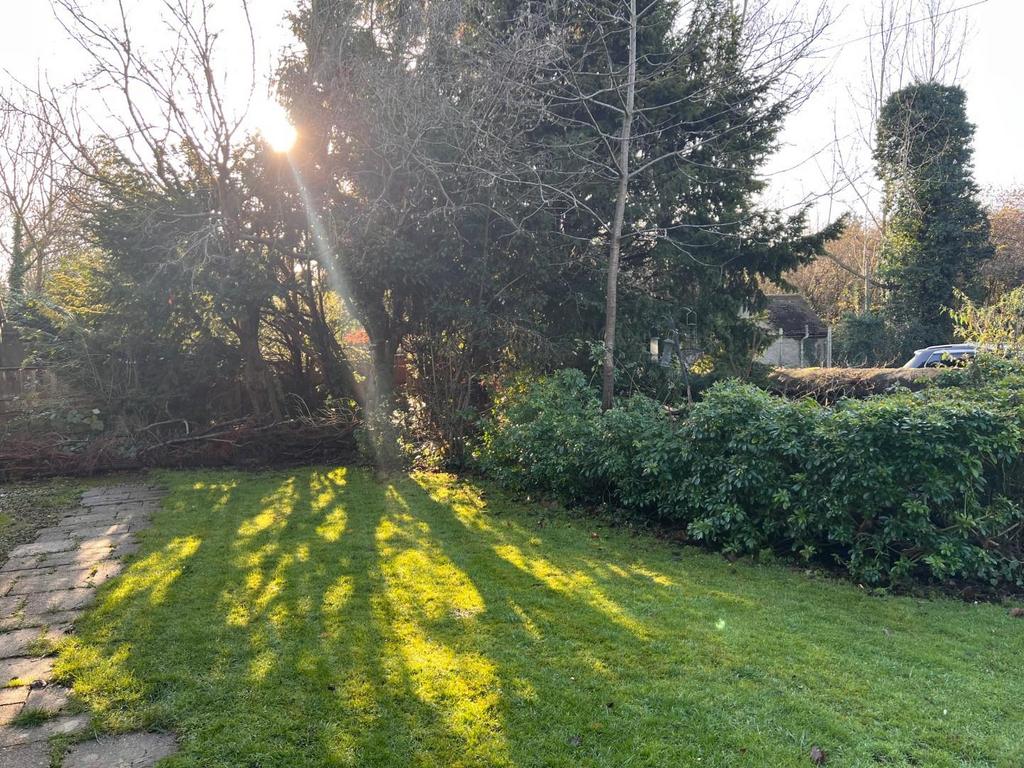 Front Garden (1).jpg