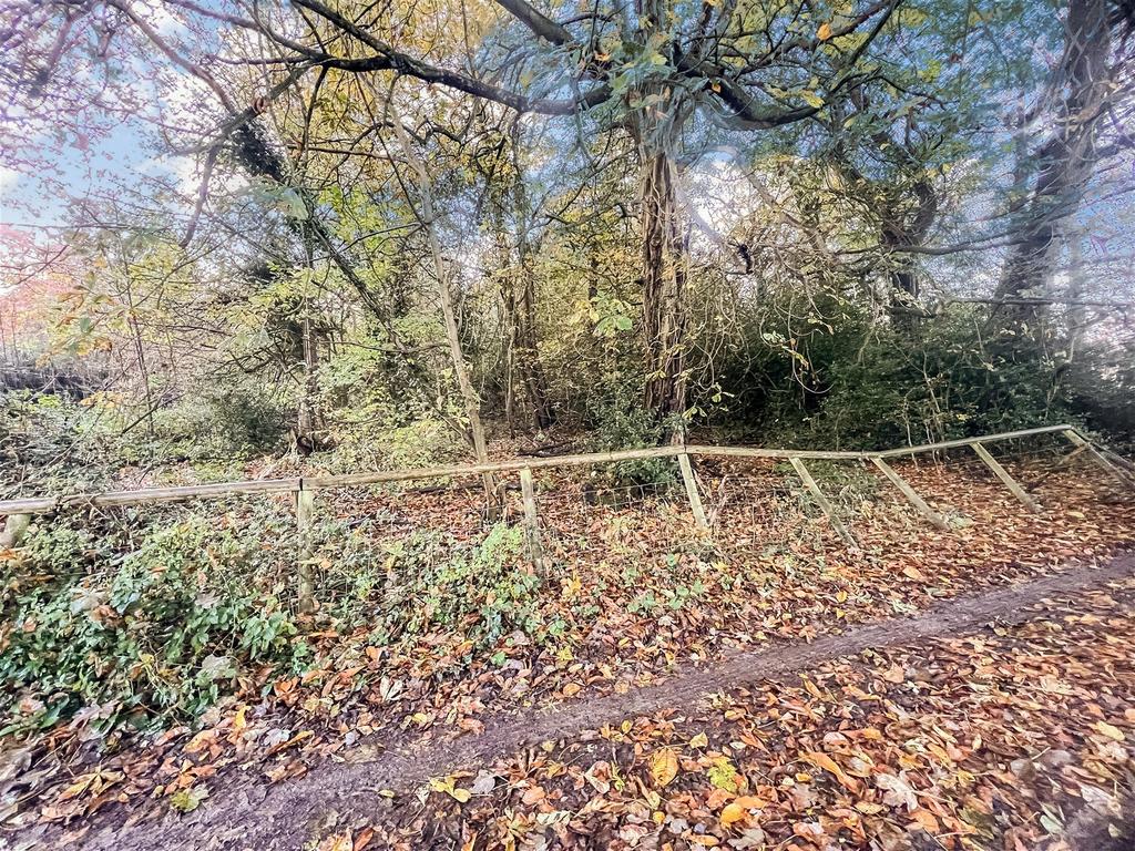 Woodland