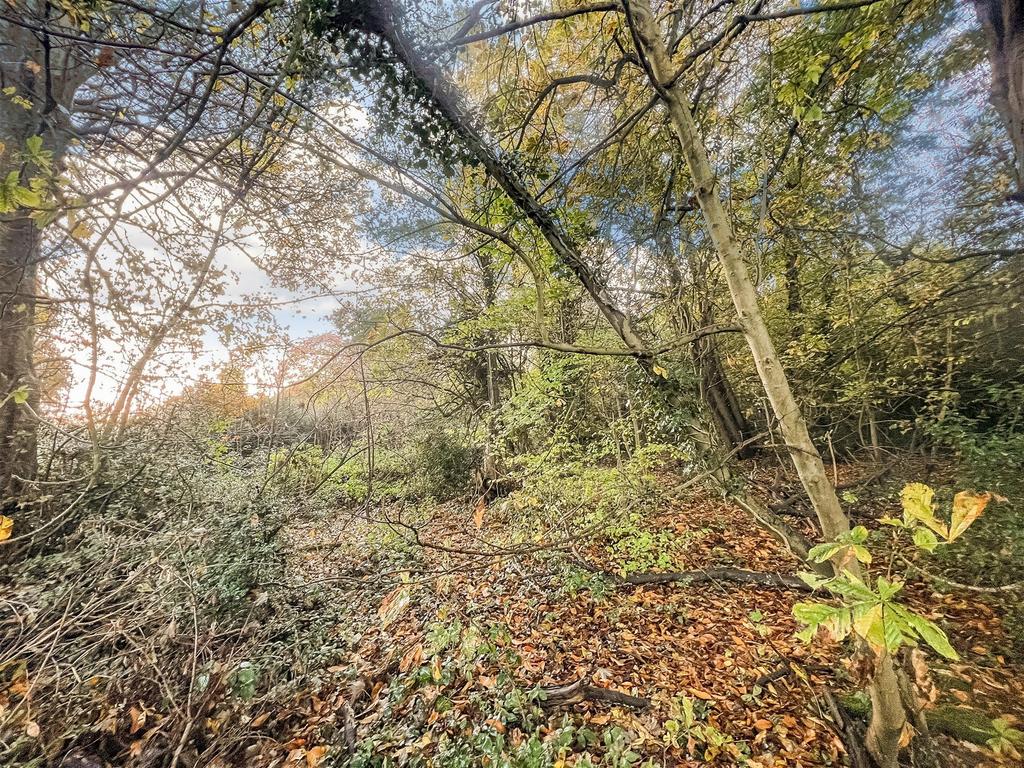 Woodland