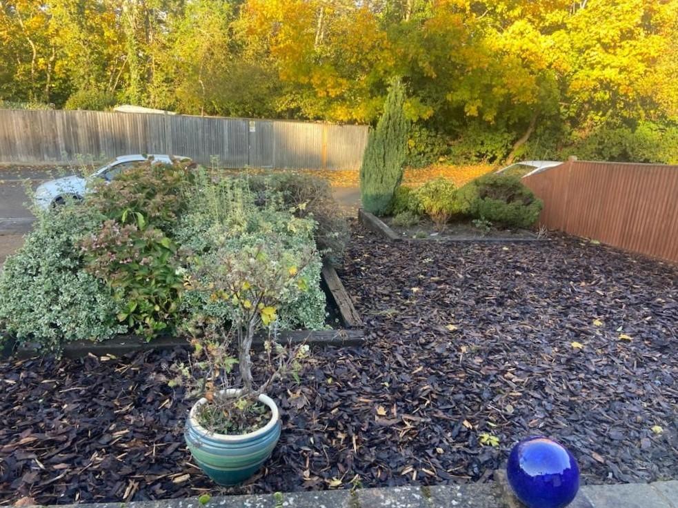Front garden nursery