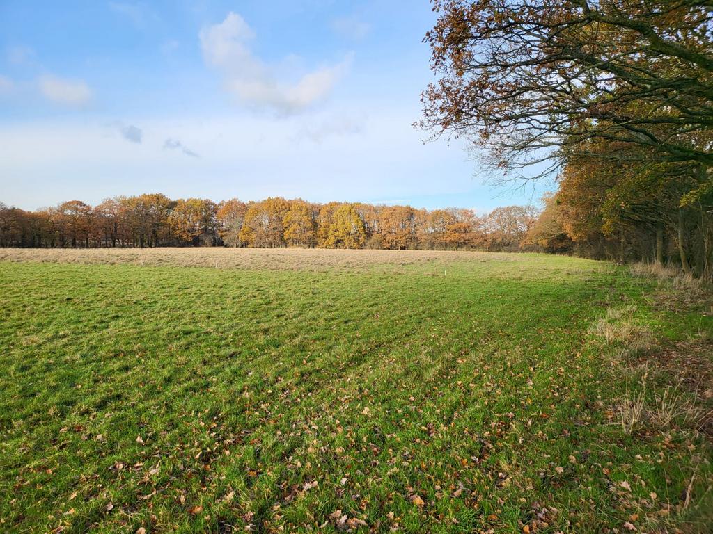 Hare Lane, Lingfield RH7 Land for sale £35,000