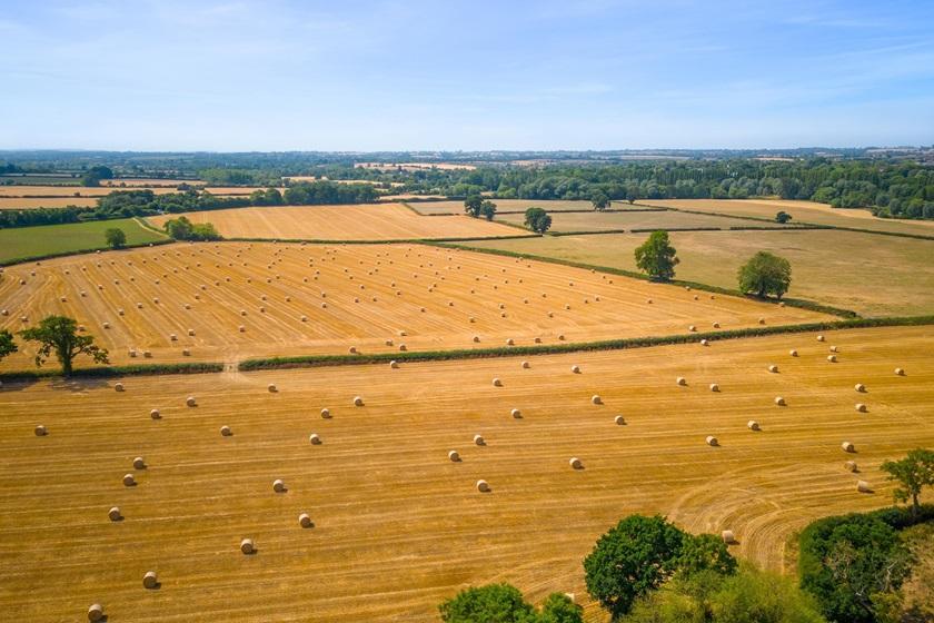 Surrounding countryside