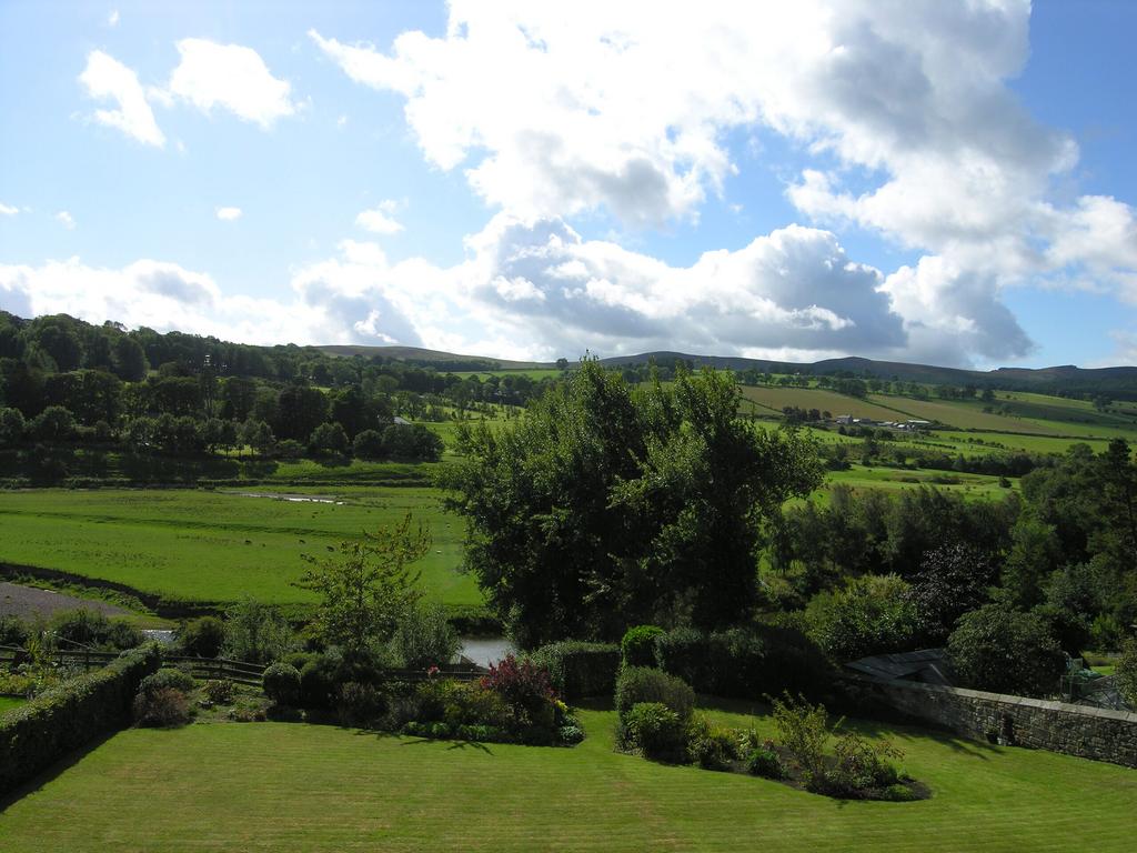 Dscn8511.jpg