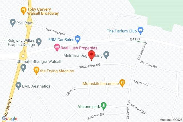 Google Maps Image