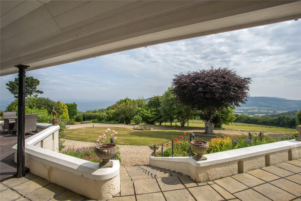 Terrace View