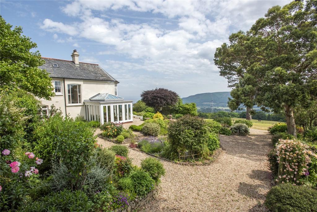Landscaped Garden