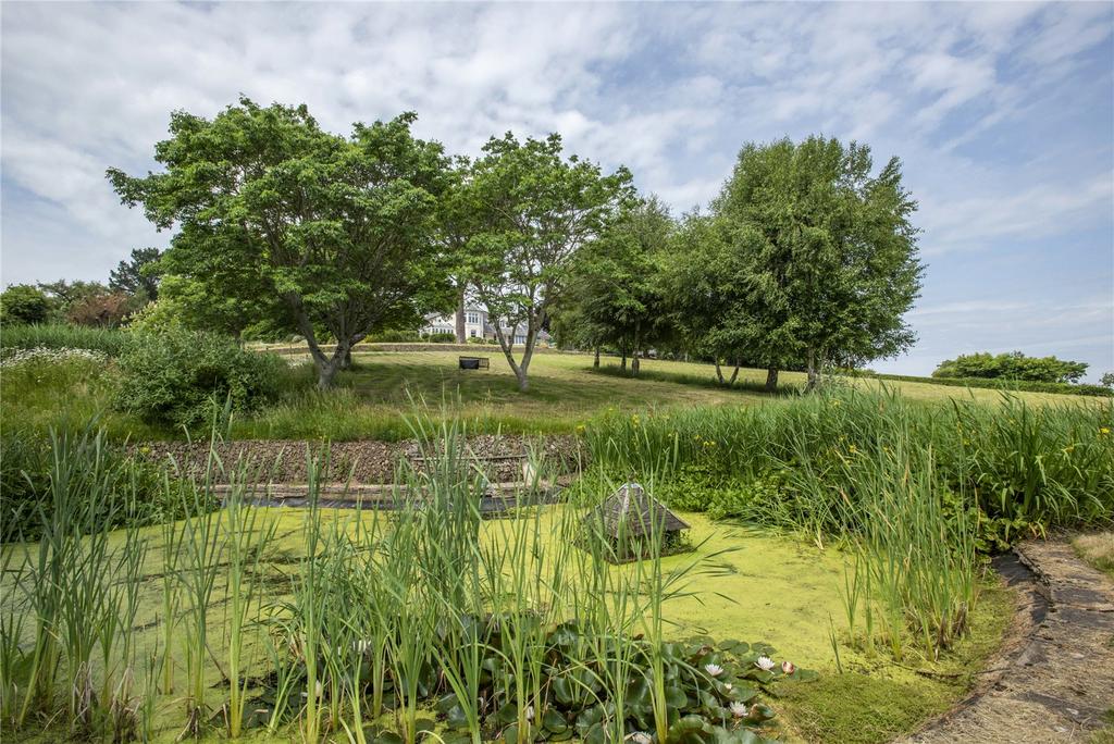 Pond &amp; Garden