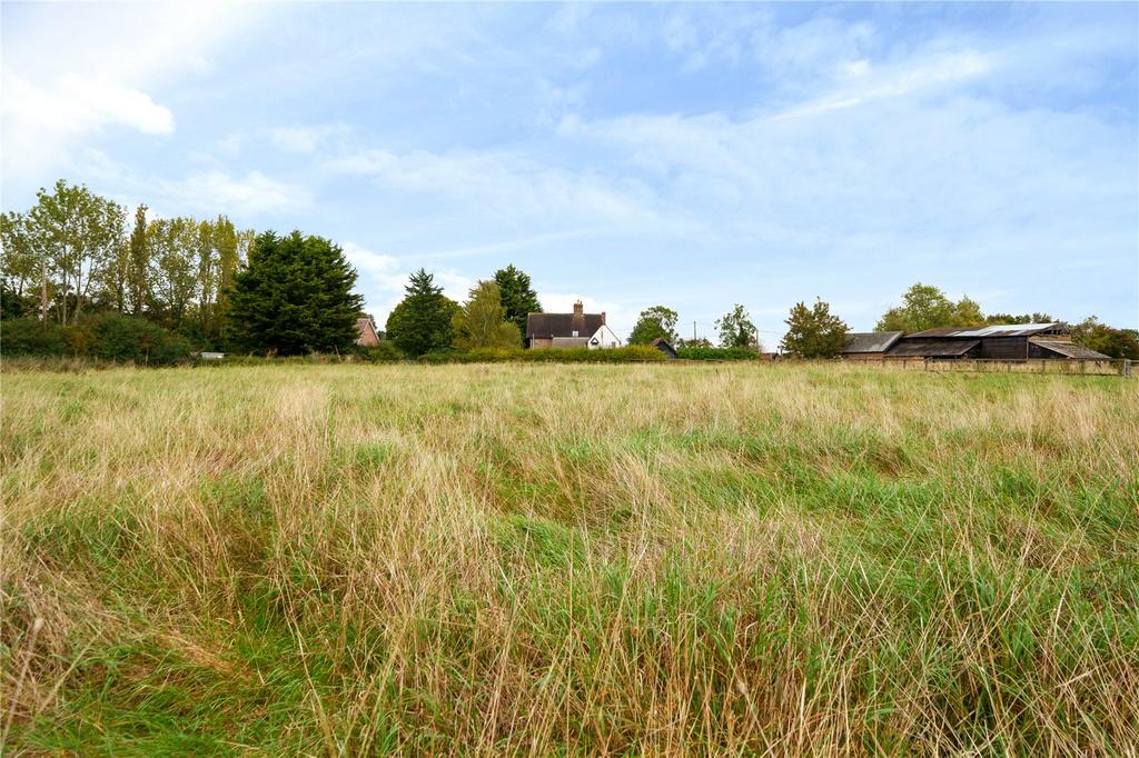 Meadow/Pasture