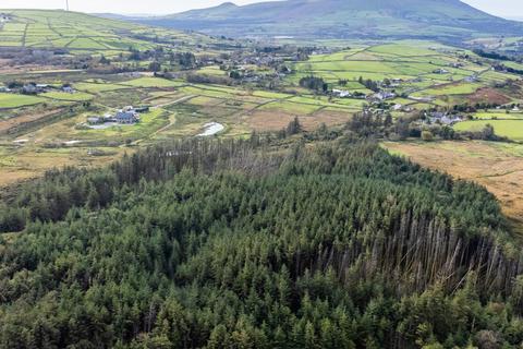 Land for sale, Nebo Woodland, Nebo, Gwynedd, LL54
