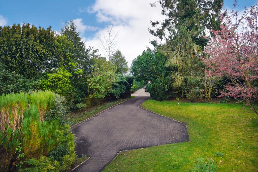 Front garden