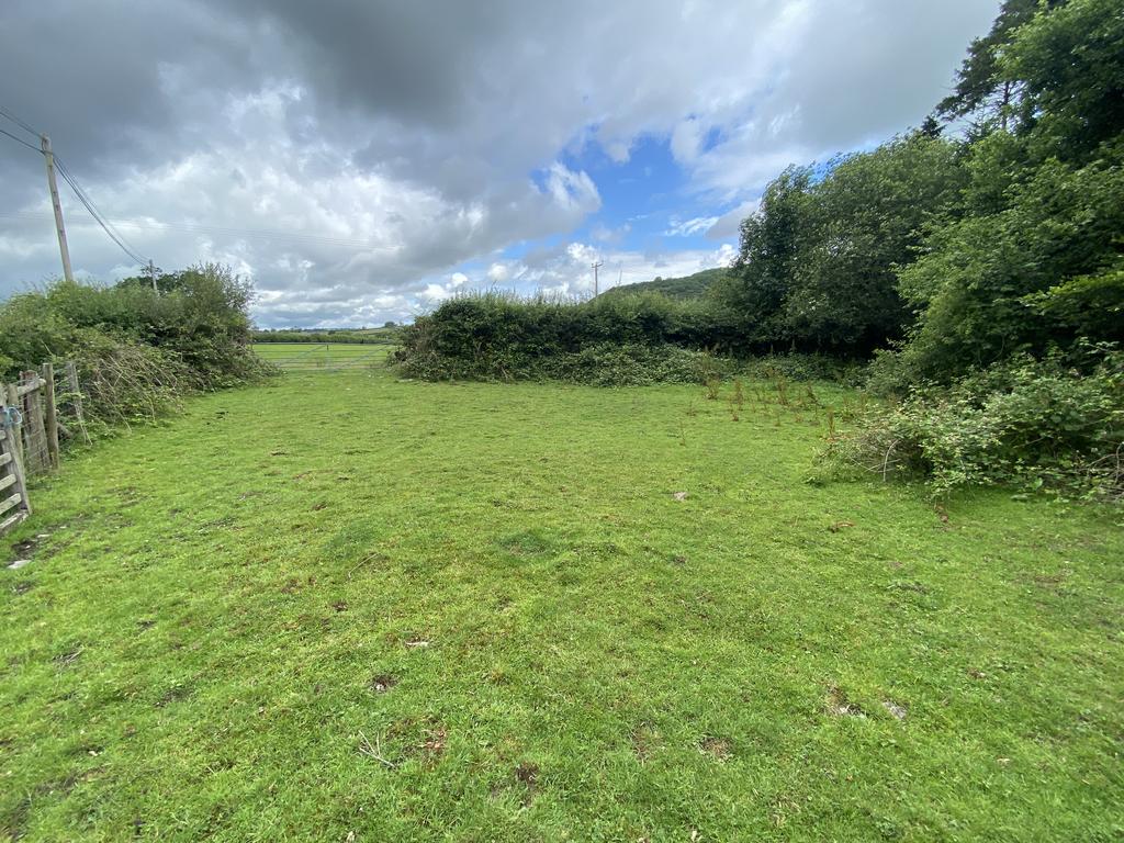 Two good sized pasture paddocks