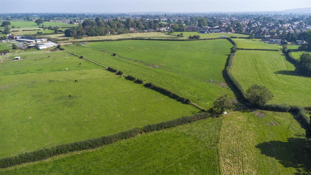 DJI 0050.jpg