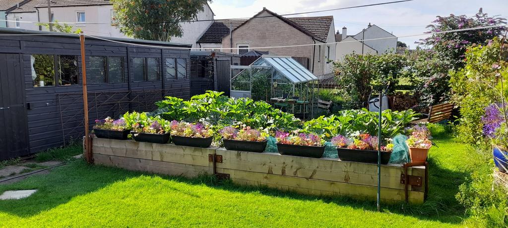 52 Castledykes Road, Kirkcudbright - Williamson an