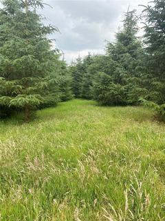 Land for sale, Brownieleys Wood, Fordoun, Laurencekirk, Aberdeenshire, AB30