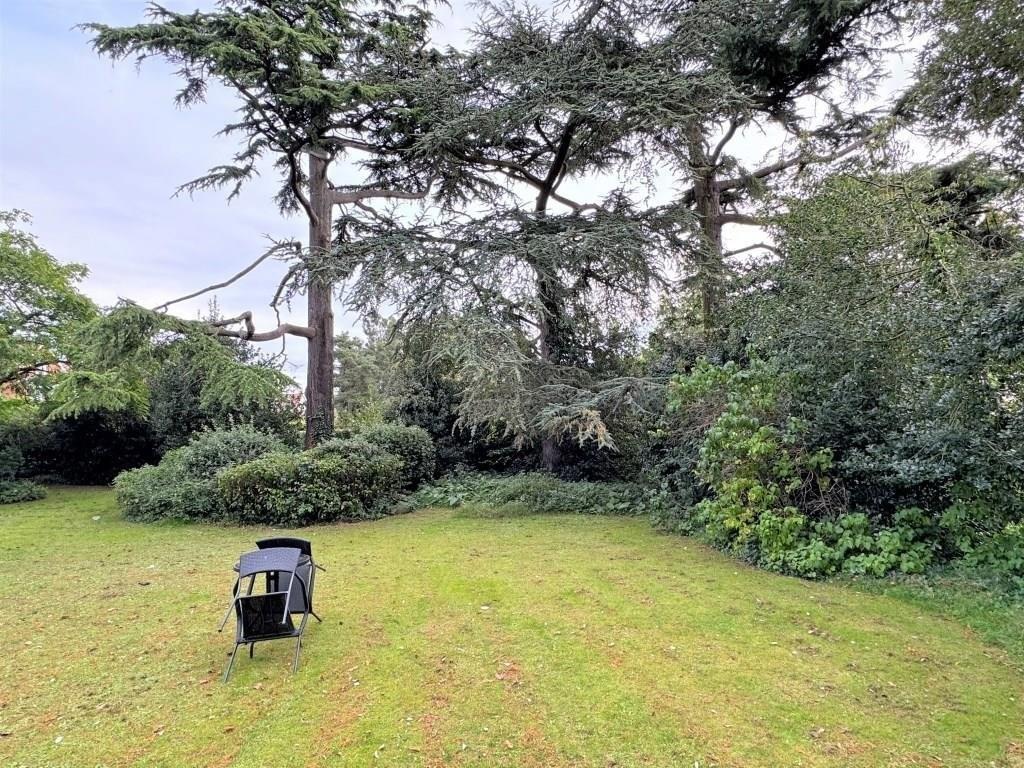 Highwood communal gardens