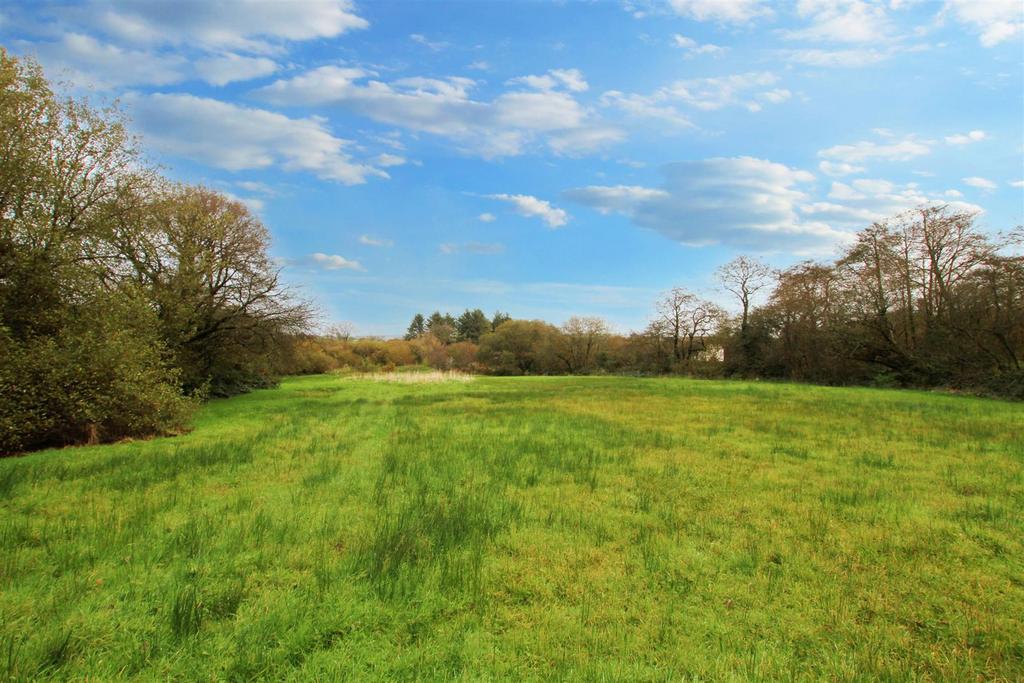 Looking down the field