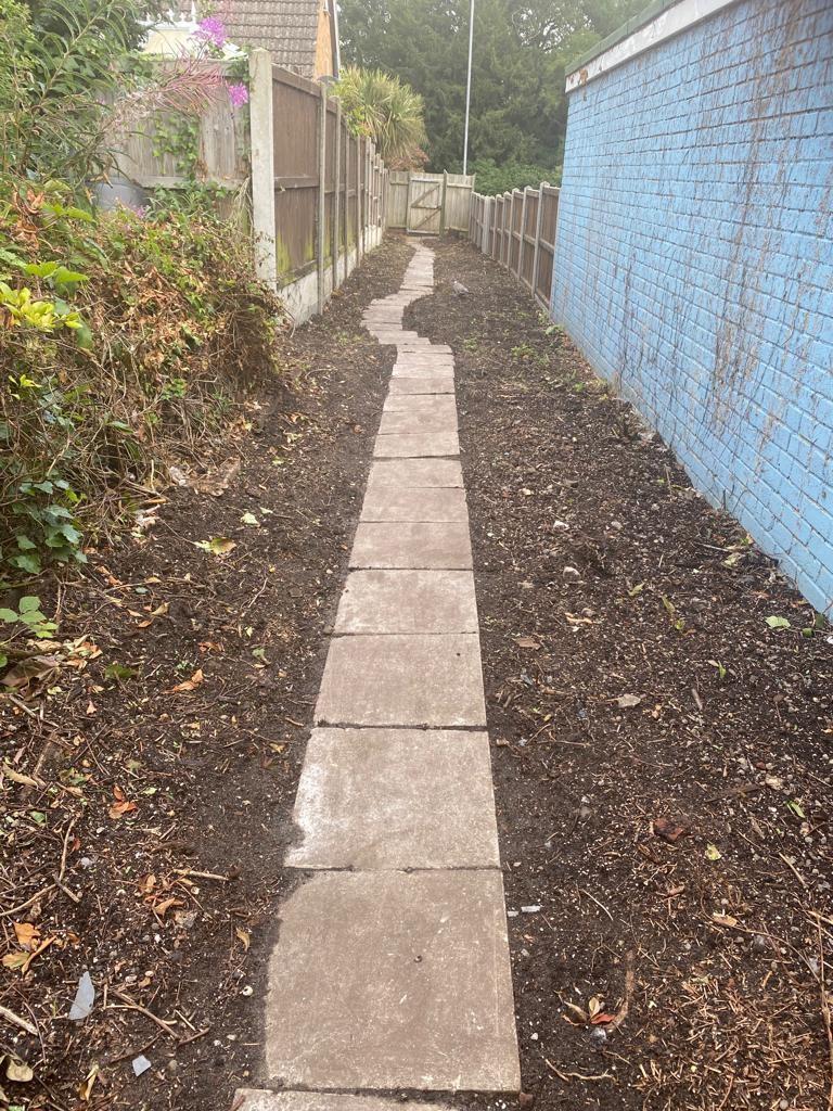 Pathway.jpg
