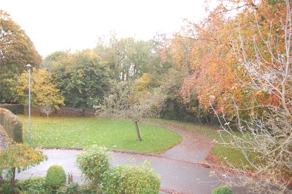 Queens Drive, Taunton, TA1 6 bed detached house for sale £825,000