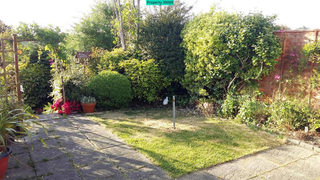 Back Garden