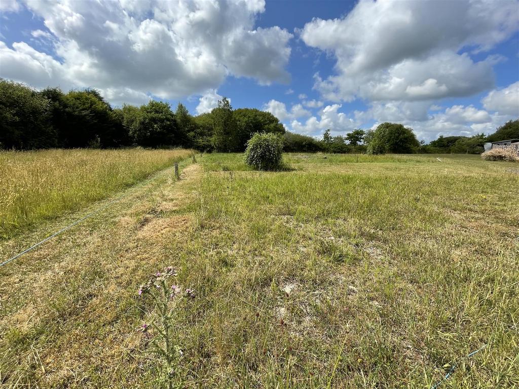 Img 0791.jpg