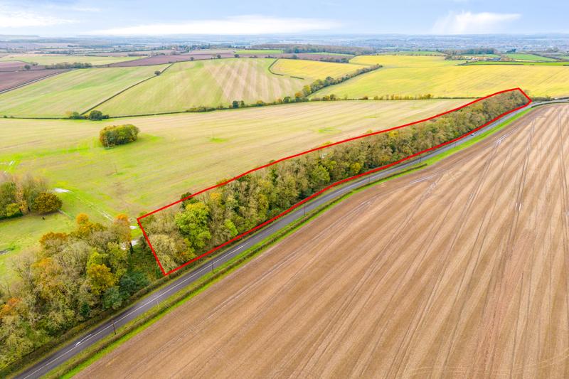Around 4.40 Acres Of Woodland, Retford Road, South Leverton, Retford, Farm land for sale £45,000