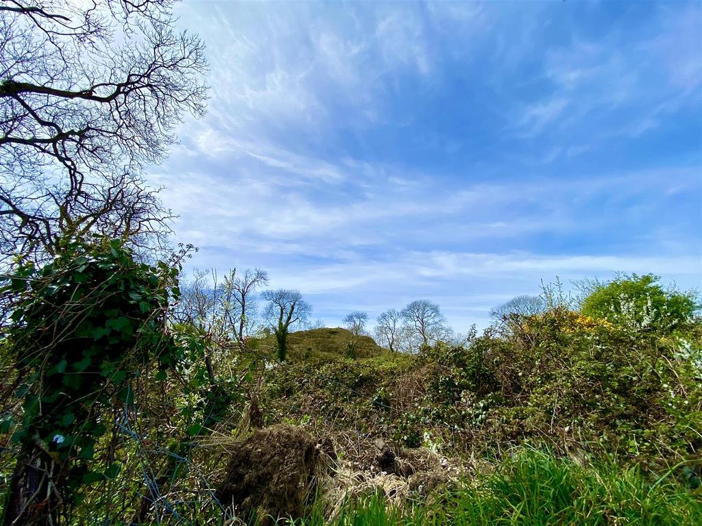 40 A62 B85-8 BF7-42 C2-A9 D2-916 B2 BEF4687.jpeg