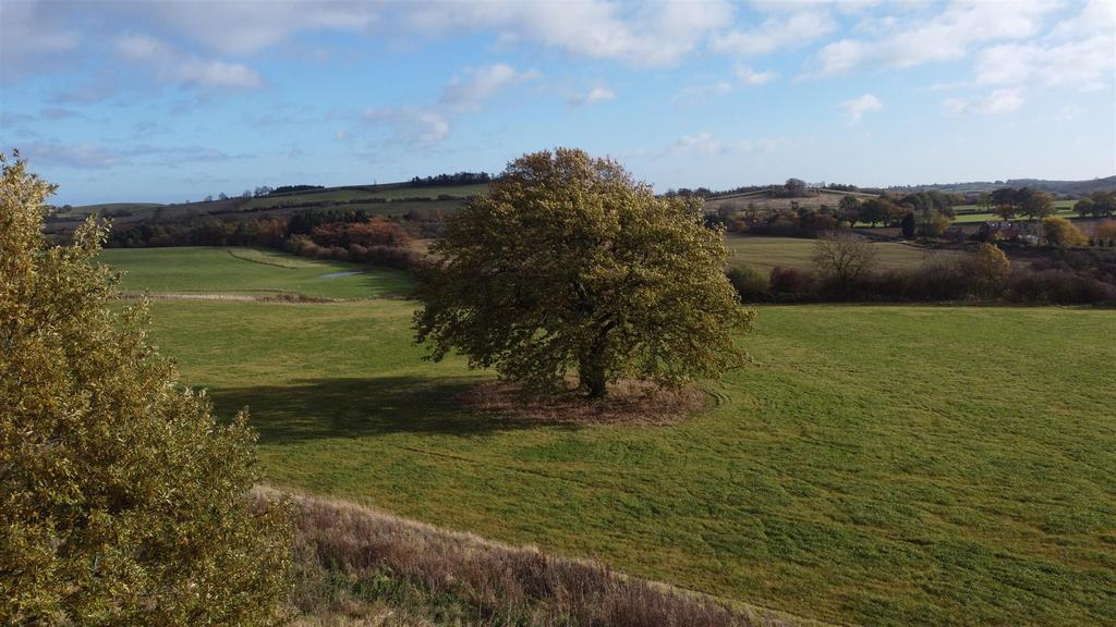 Halstead House Farm