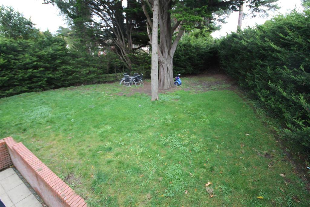 Img 4120.jpg