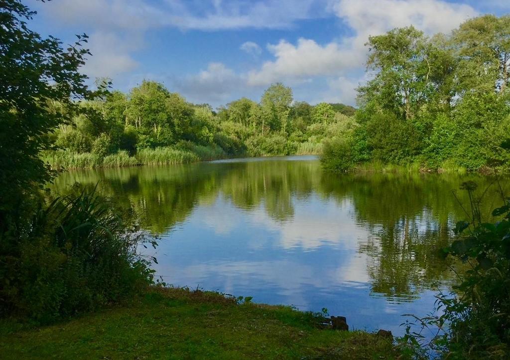 Loddiswell, Kingsbridge Land for sale £550,000