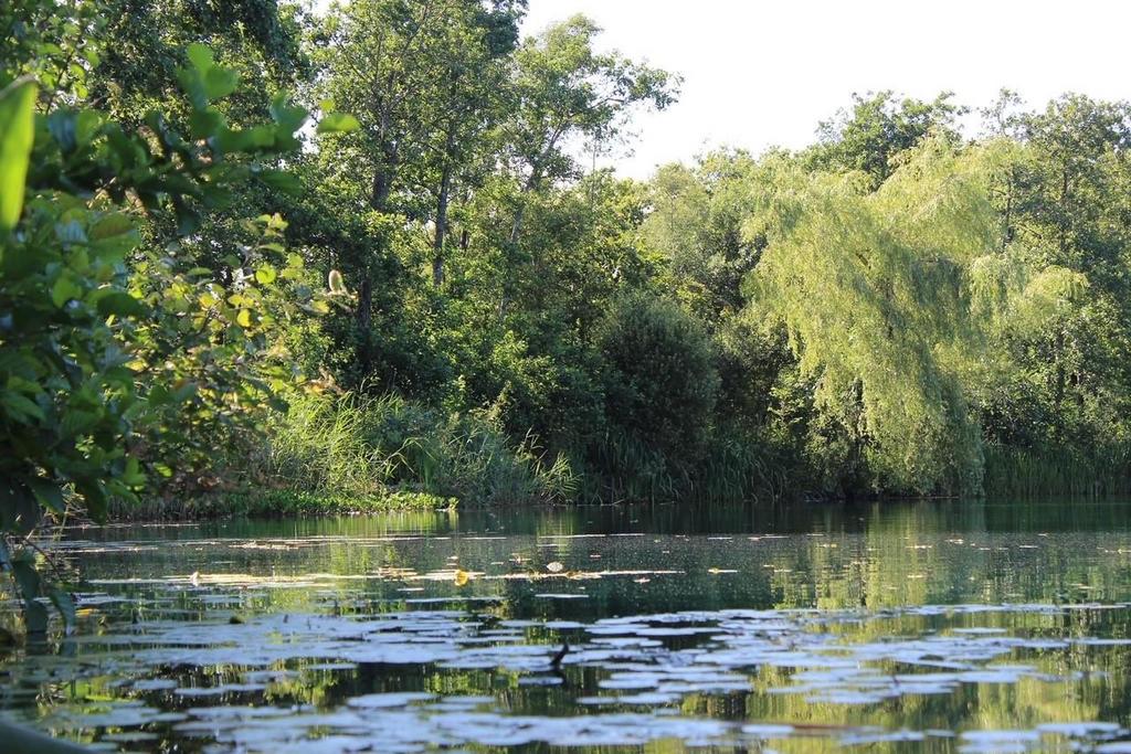 Emperor lakes 2.jpg