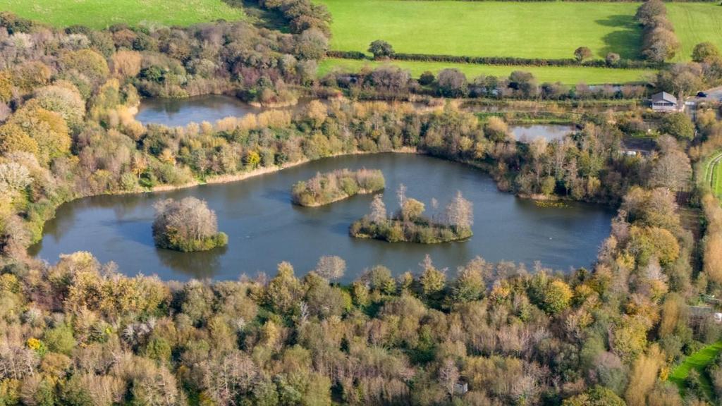 Drone View