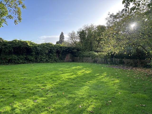 Garden (Copy).JPG