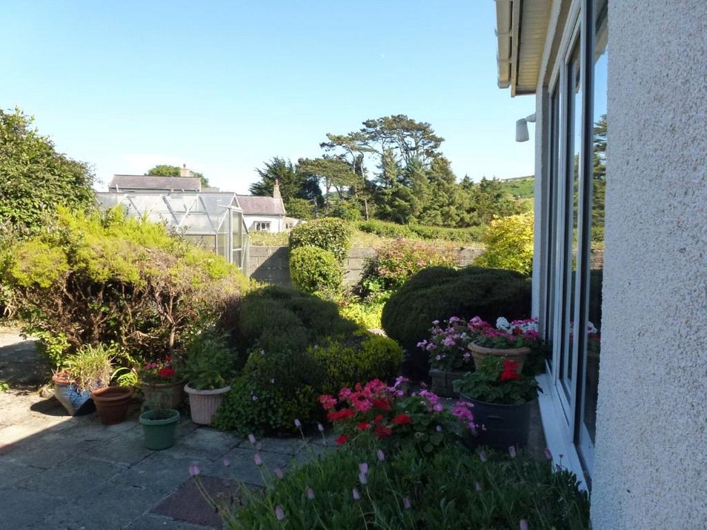 Garden In Summer
