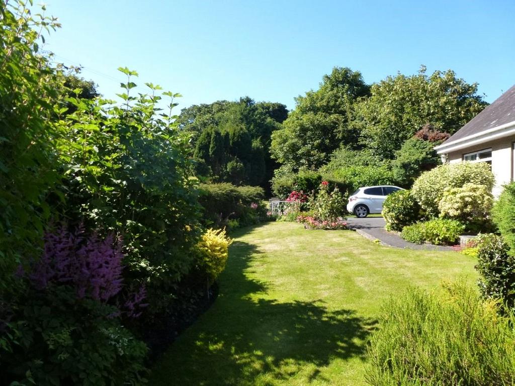 Garden In Summer 3