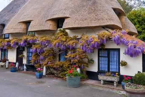 3 bedroom cottage for sale, The Street, Wickhambreaux, CT3